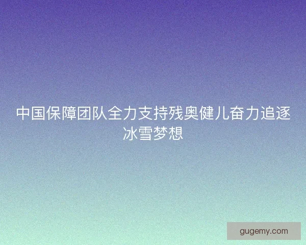 中国保障团队全力支持残奥健儿奋力追逐冰雪梦想